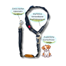 Sport Vibrations® 2-in-1 Auto-Hundegurt mit...